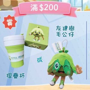 星光迎月嚐茶禮盒:圖片 4